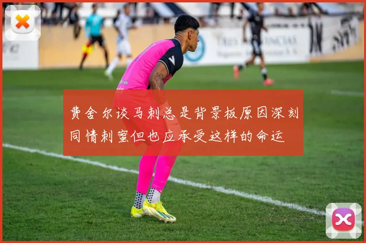 费舍尔谈马刺总是背景板原因深刻同情刺蜜但也应承受这样的命运