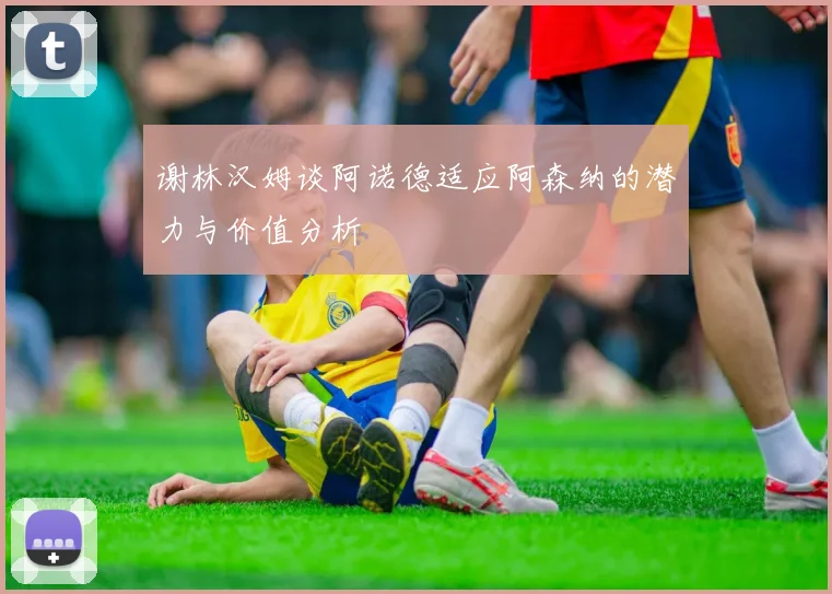 谢林汉姆谈阿诺德适应阿森纳的潜力与价值分析
